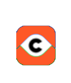 Partner 3 Logo